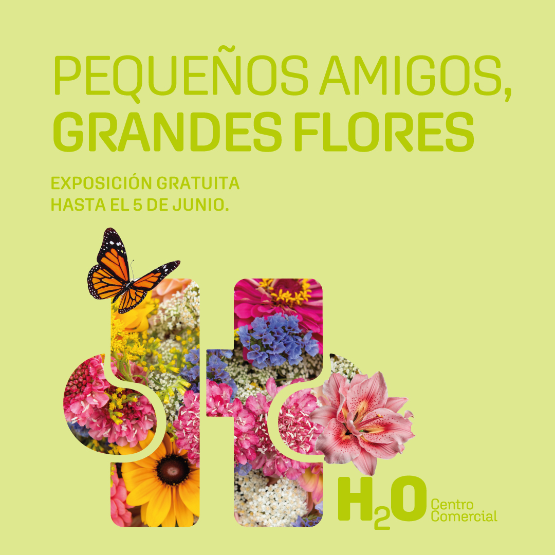 Exposición de primavera en H2O